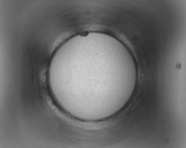 X0000116350010200912221511