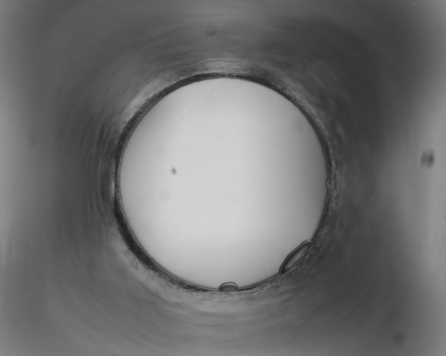 X0000116350011200912221511