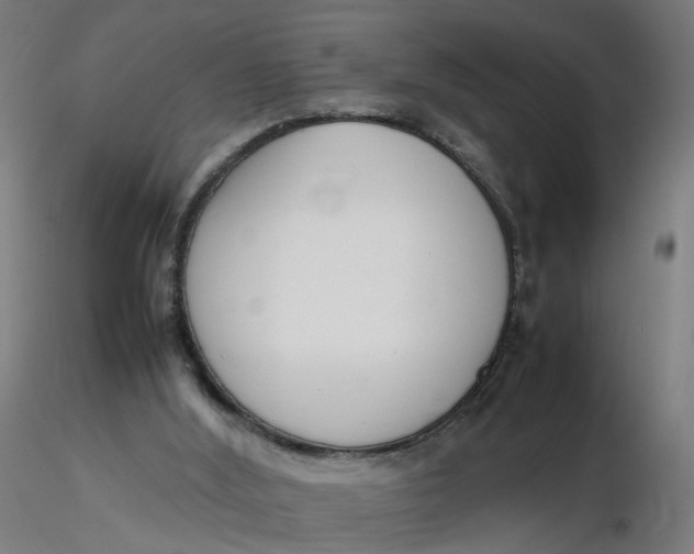X0000116350012200912221511