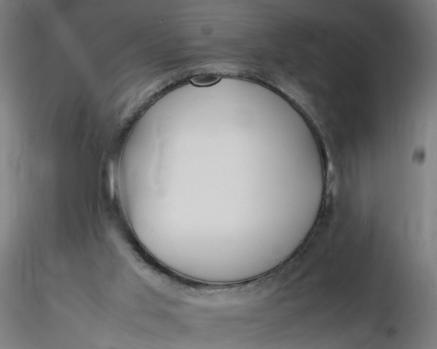 X0000116350013200912221511
