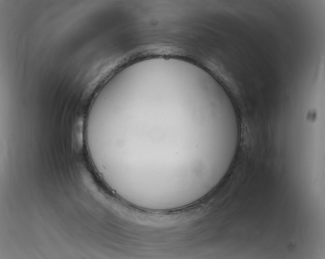 X0000116350014200912221511
