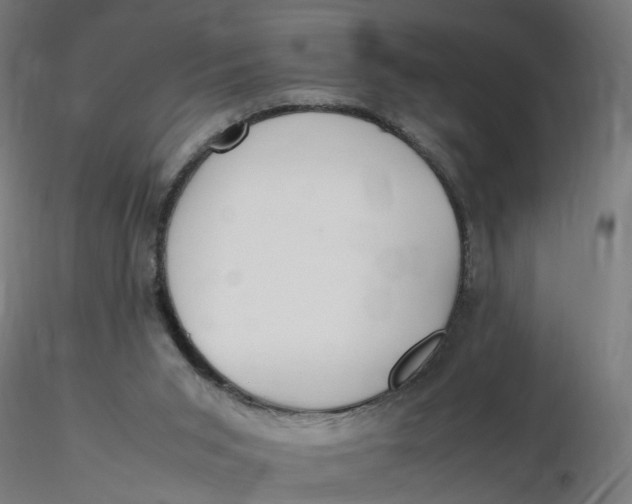 X0000116350015200912221511
