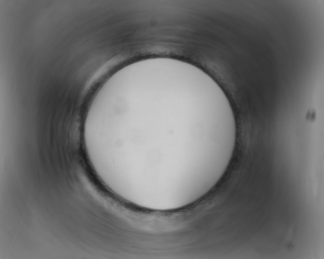 X0000116350016200912221511