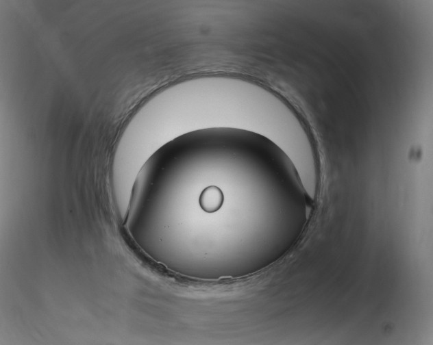 X0000116350017200912221511