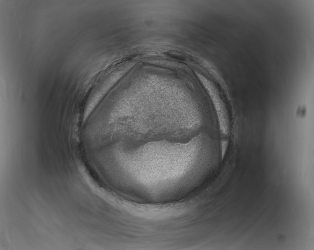 X0000116350018200912221511