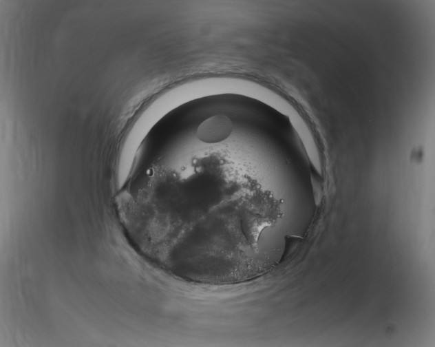 X0000116350019200912221511