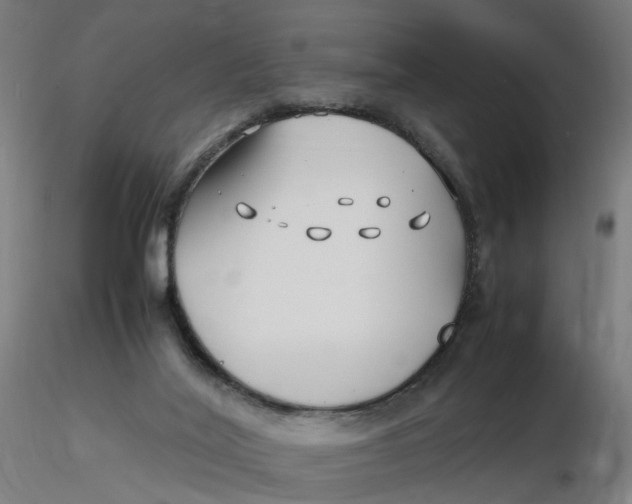 X0000116350020200912221511