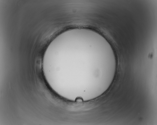 X0000116350021200912221511