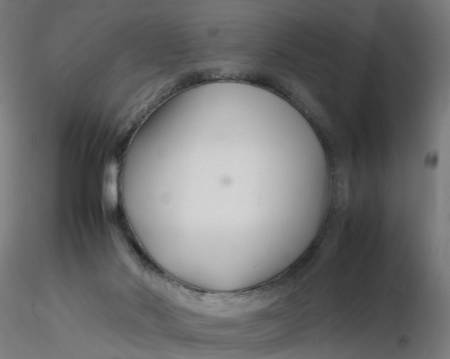 X0000116350022200912221511