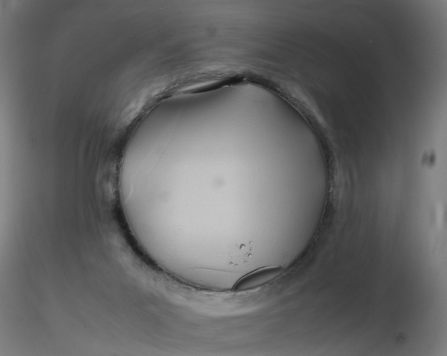 X0000116350023200912221511