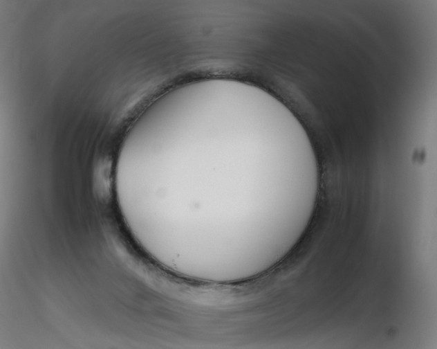 X0000116350024200912221511