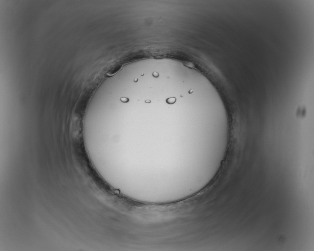 X0000116350025200912221511