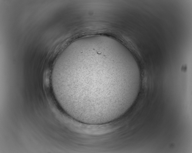 X0000116350026200912221511