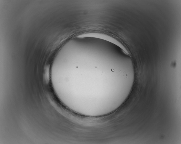 X0000116350028200912221511
