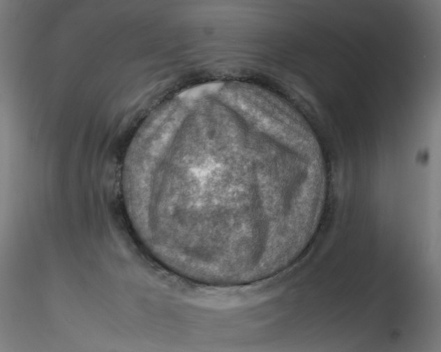 X0000116350029200912221511