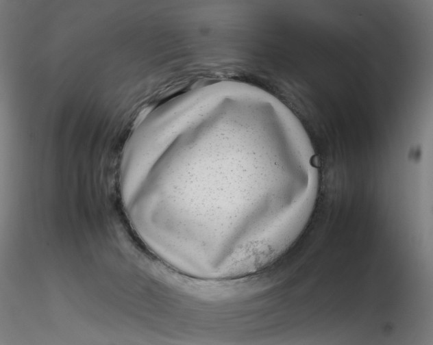 X0000116350030200912221511