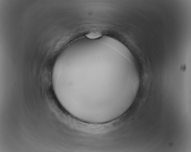 X0000116350031200912221511