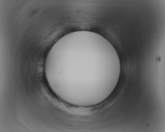 X0000116350032200912221511