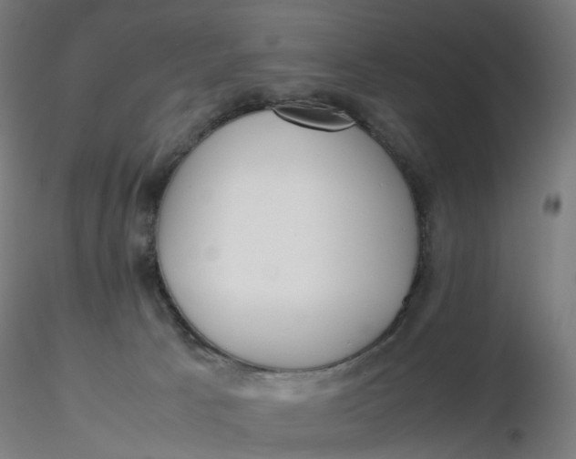 X0000116350033200912221511
