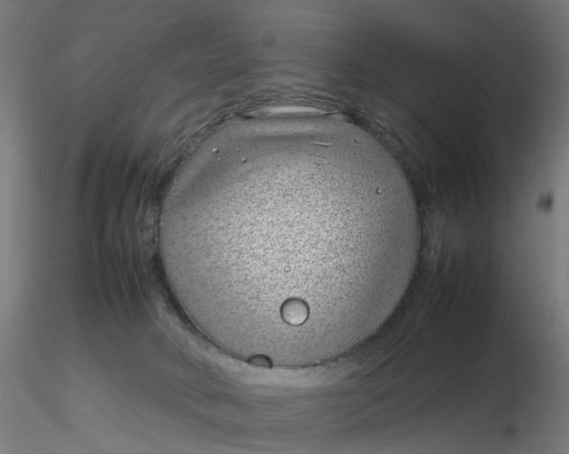 X0000116350034200912221511