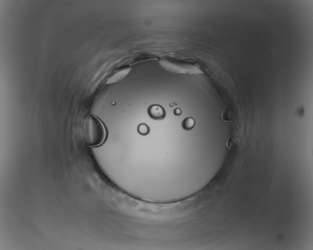 X0000116350035200912221511