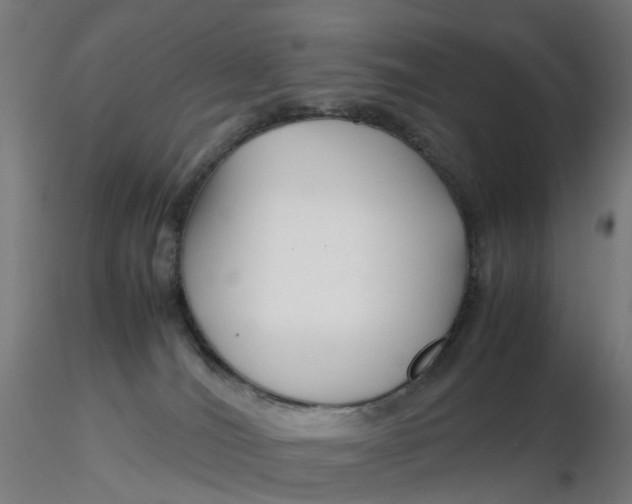 X0000116350036200912221511