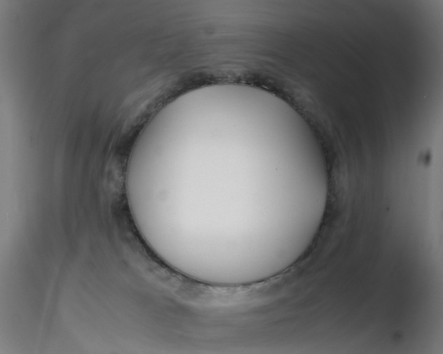 X0000116350037200912221511
