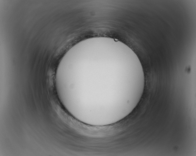 X0000116350038200912221511
