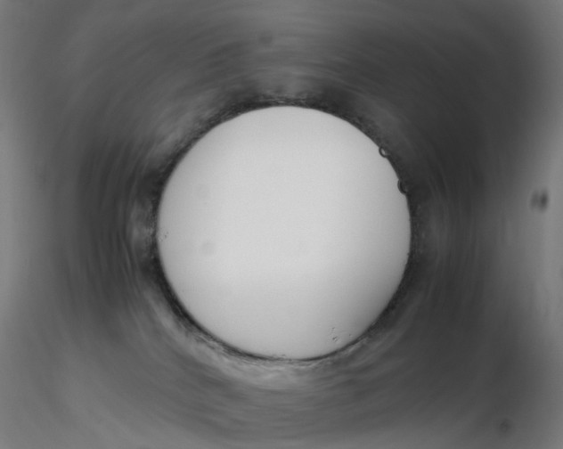 X0000116350040200912221511