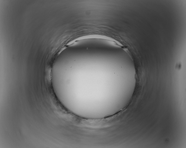 X0000116350041200912221511