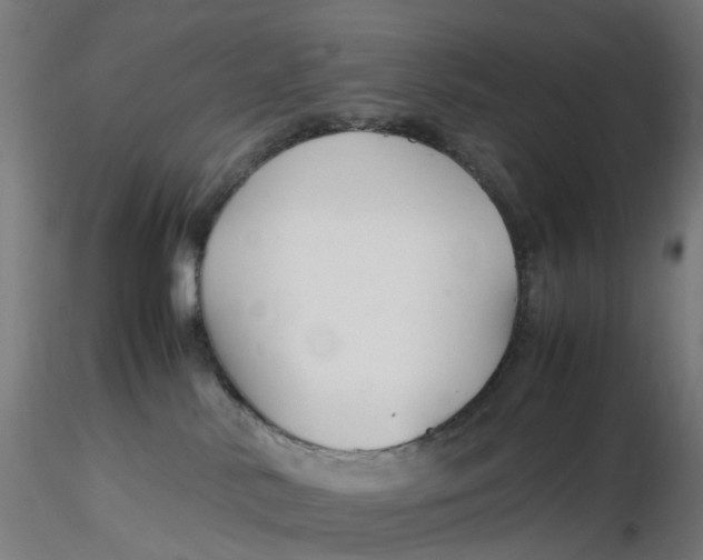 X0000116350042200912221511