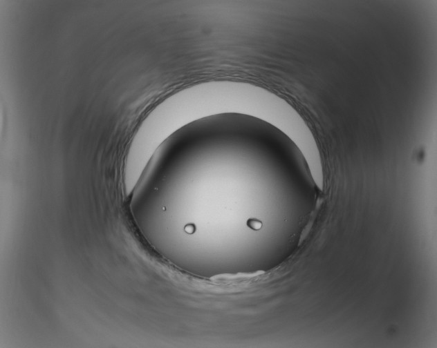 X0000116350043200912221511