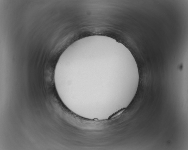 X0000116350044200912221511