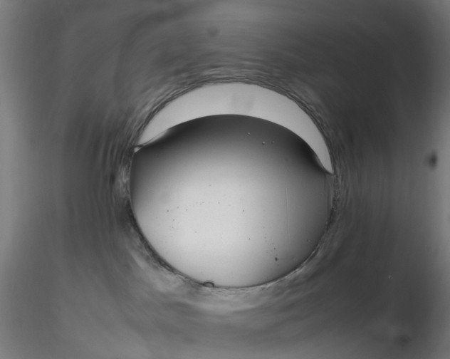 X0000116350045200912221511