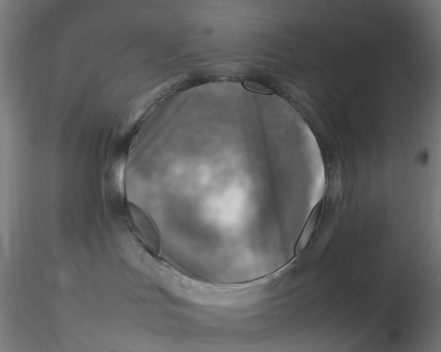 X0000116350047200912221511