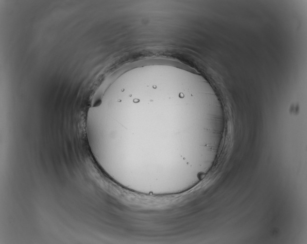 X0000116350048200912221511