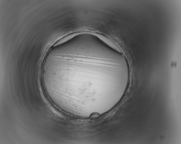 X0000116350049200912221510