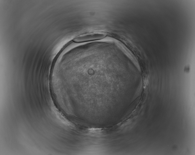 X0000116350052200912221510