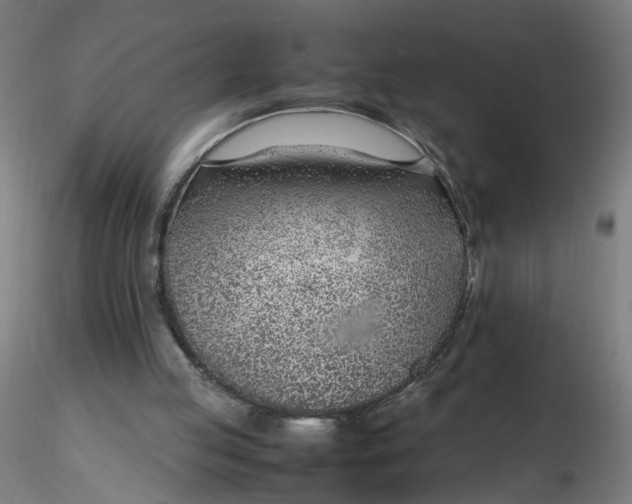 X0000116350053200912221510