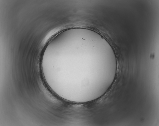 X0000116350054200912221510