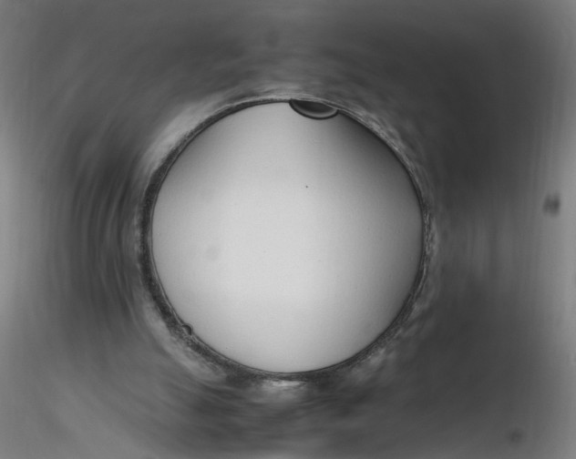 X0000116350055200912221510
