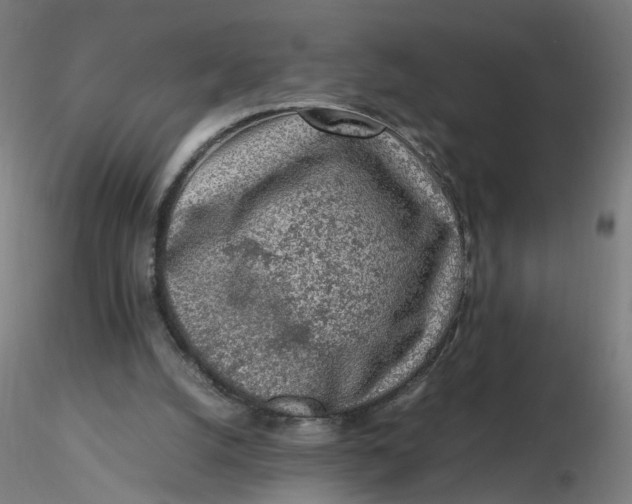 X0000116350056200912221510