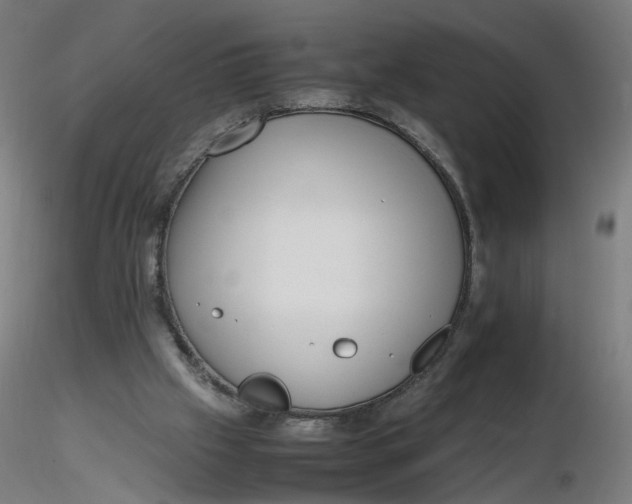X0000116350057200912221510