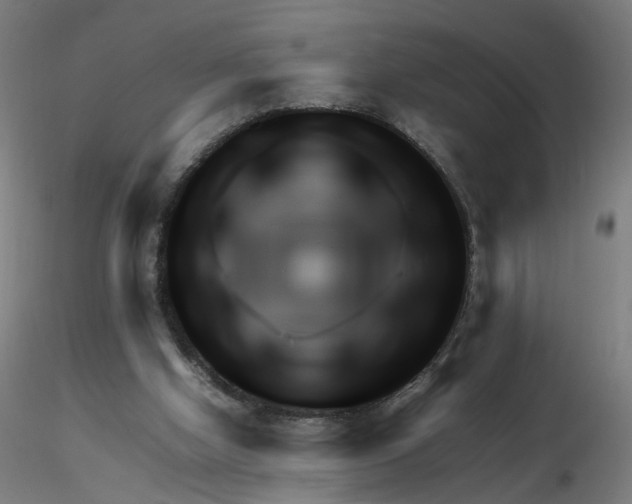 X0000116350058200912221510