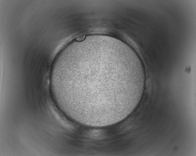 X0000116350059200912221510