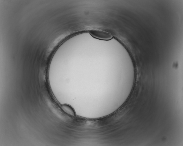 X0000116350060200912221510