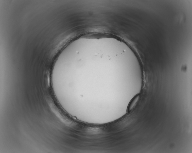 X0000116350061200912221510