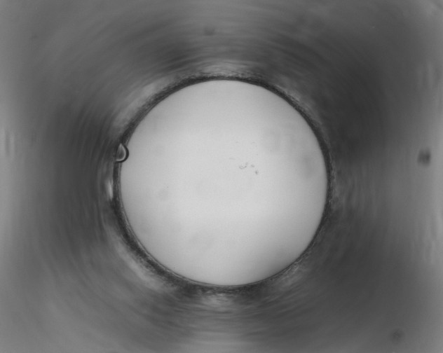 X0000116350062200912221510