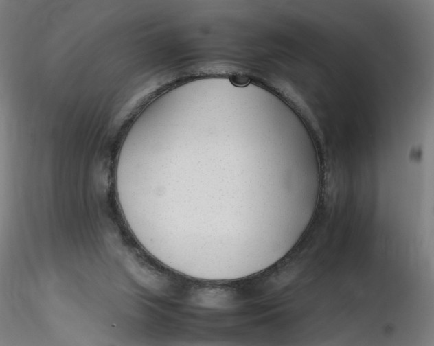 X0000116350063200912221510