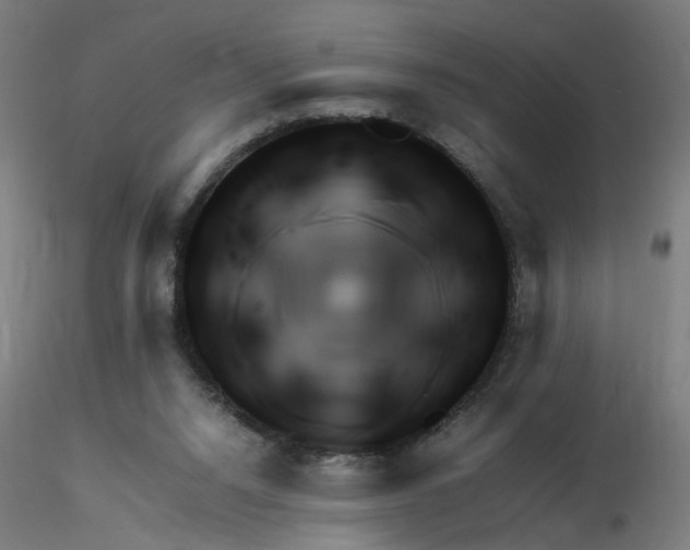 X0000116350064200912221510